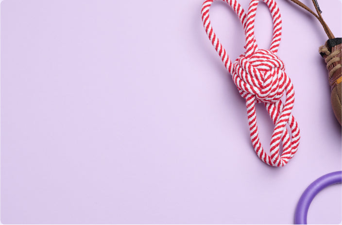 Хиты и ТОП продажи